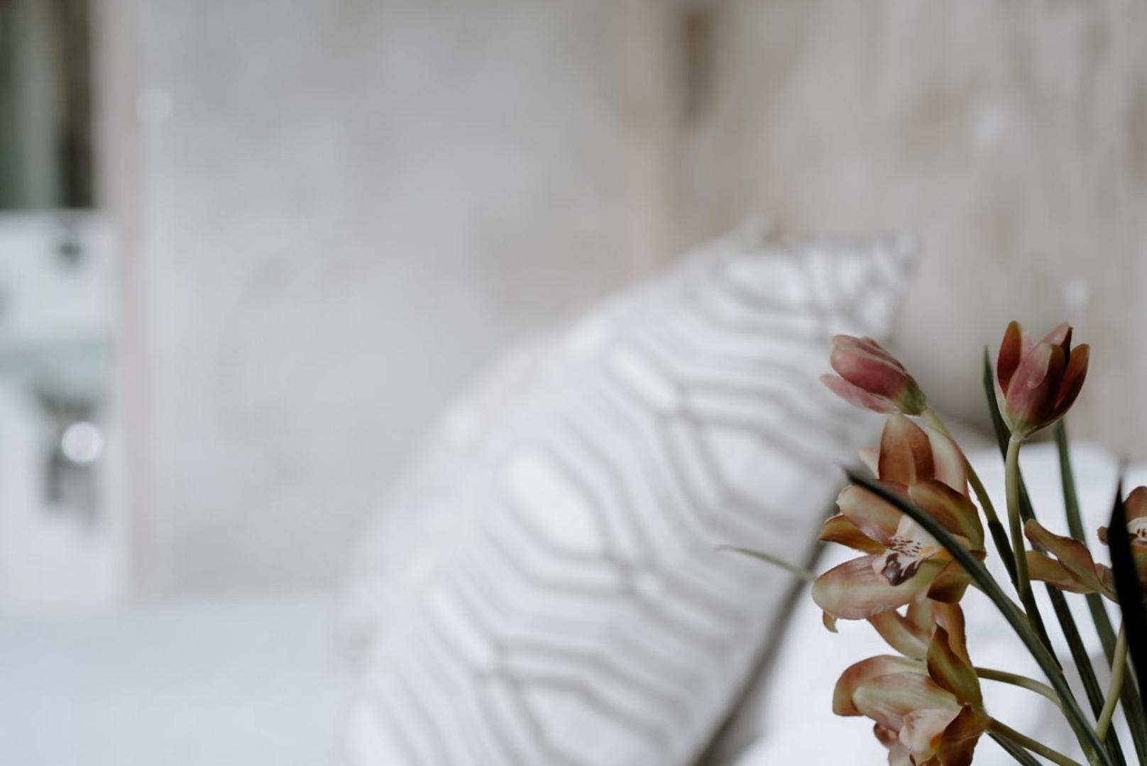 Ideal Sejour Cannes - Stylish Boutique Hotel With Quiet Garden Zewnętrze zdjęcie